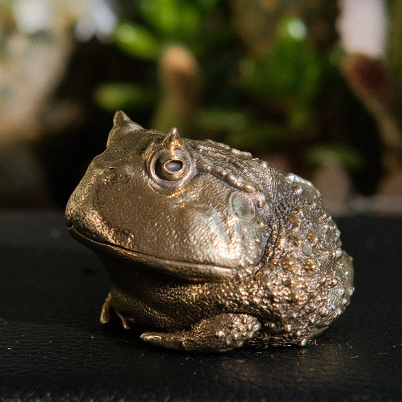 Vintage Brass Pacman Frog Orna - Vintage Collectible Furniture recension och pris