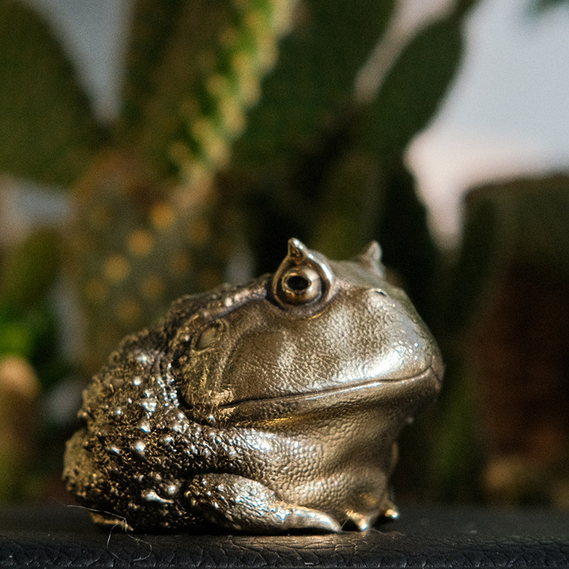 Vintage Brass Pacman Frog Orna - Vintage Collectible Furniture recension och pris
